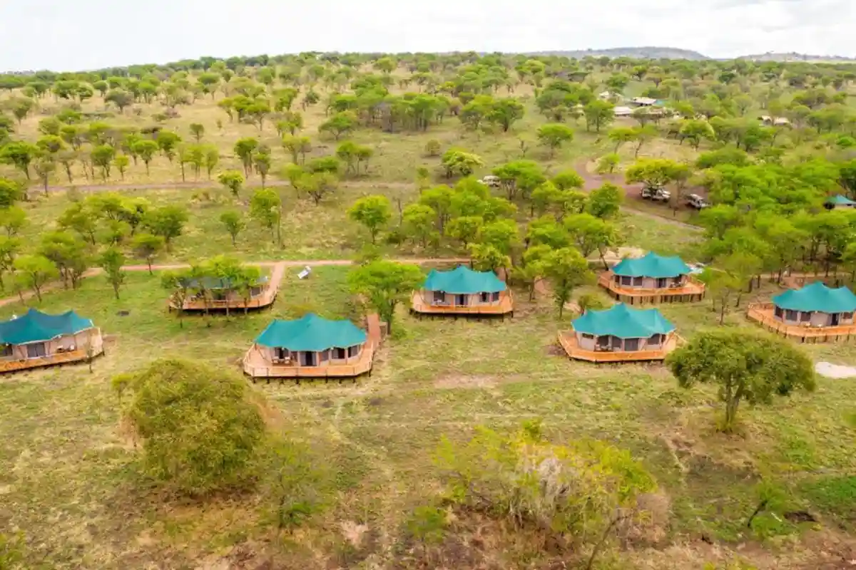 Wilderness Camp